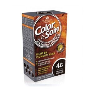 Color Et Soin Chatain Brownie 4B