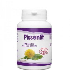 Gph Diffusion Pissenlit 100 Gélules