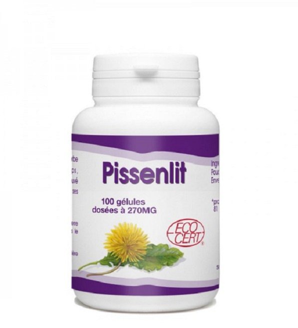 Gph Diffusion Pissenlit 100 Gélules