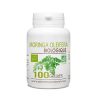 GPH DIFFUSION MORINGA 100 GELULLES 400 MG